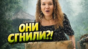 2 года в коробке на Бали: что стало с вещами + готовим сюрприз другу 🎉