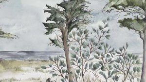 CASAMANCE - PANORAMAS 2 - 09/2022