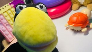 Почему черепаха такая медленная? Ворона Ася расскажет