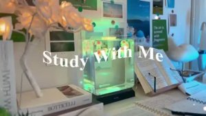 4 часа учебы 🫧 Study With Me • Pomodoro 50-10 🌊 [lofi]