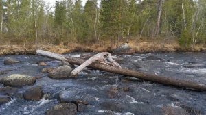 Слушаем воду 2023- 05- 27