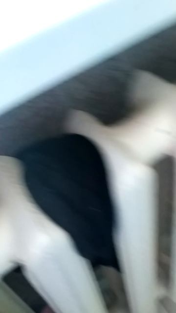 обзор поликлиники для LPS наконец-то я сняла