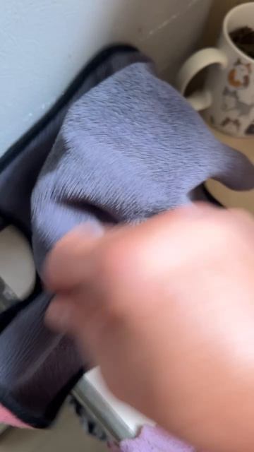 Утренняя рутина