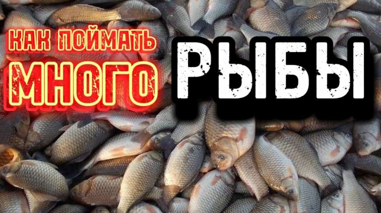 Самая Лучшая и Популярная Русская Рыбалка в Восточной Сибири. Ловим Много Рыбы. Уйма Рыбы. Онлайн