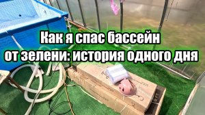Как я спас бассейн от зелени: история одного дня