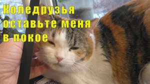 НАТЯНУЛИ ПОТОЛОК/  ВСТРЕТИЛИСЬ С НАТУСИКОМ/ И СНОВА КОЛЯ/ 11 и 12 и 13 и 14  марта 2026