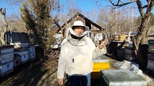 ОБЕСПЕЧИТЬ ПЧЕЛ ВОДОЙ ВЕСНОЙ