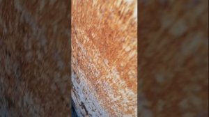 Я золез в зелёную бочку 
Где пахло плесенью