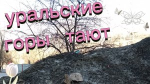 Синоптики обещали весну. Она пришла к нам