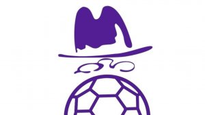 матч Витязь