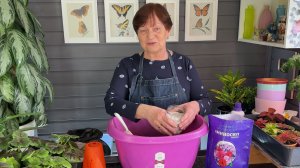 Улучшаем грунт для посадок и пересадок.