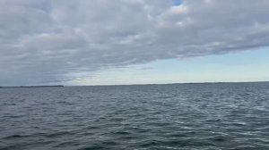 ЛОВЛЯ СУДАКА В КАЛИНИНГРАДСКОМ ЗАЛИВЕ