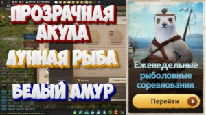 БДО. Прозрачная акула. Лунная рыба. Белый амур. Рыболовные соревнования. 23-28.03 2025.