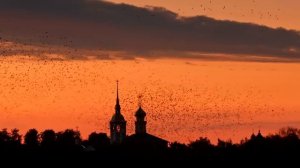 Видео от ЧЕЛЯБИНСК