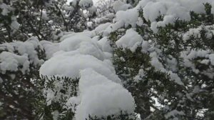 И опять наш город в снегу. 23 марта.mp4