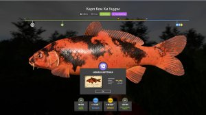 НОВЫЕ РАЗДАЧИ ЛОСОСЯ И УСАЧА НА АХТУБЕ, ТРОФЕИ НА ЯМЕ И МОРЕ В РУССКОЙ РЫБАЛКЕ 4 ОБЗОР ВОДОЕМОВ