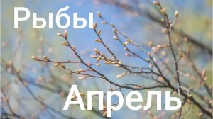 Таро расклад для Рыб на апрель 2026 года