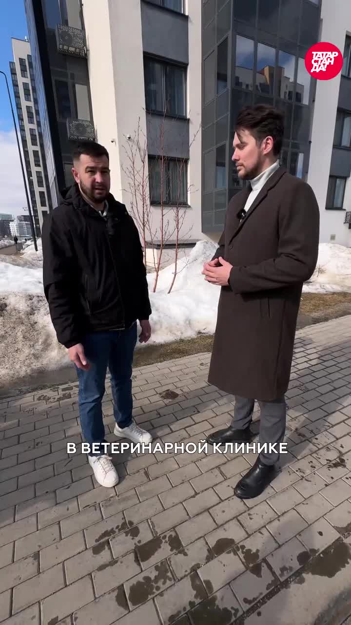 Трагедия в Казани: собака загрызла питомца и покусала детей в ЖК Светлая Долина