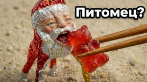 У меня появился питомец Гу Гу ГаГа