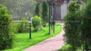 Ваша дача ! (14)