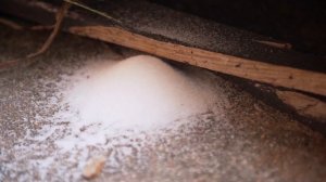 Самогонщики 14 сезон 2 серия (реалити-шоу, 2025)