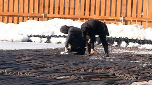 (Рыбинск-40) ГОРОДСКОЙ КАТОК ДЕМОНТИРУЮТ