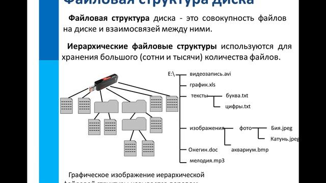 7 класс файловая структура смотреть онлайн