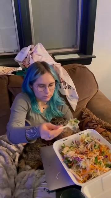 Котики мешают людям во время еды