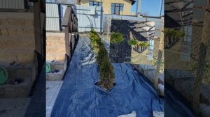 Усадьба Ленино. Начало