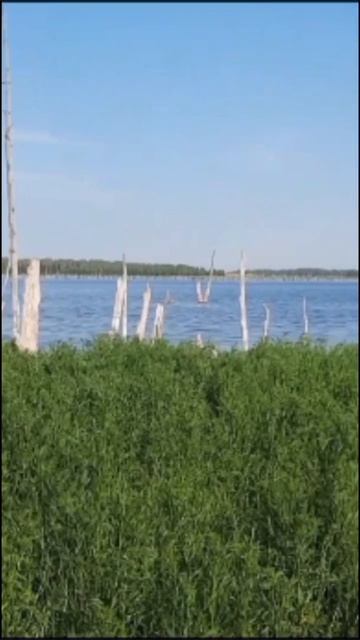 Рыбалка на озере.