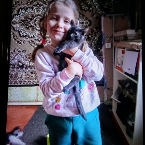 всем привет и спасибо