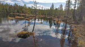 Весна, природа, всё в воде 2023-05-20