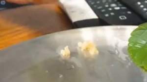 Мукбанг острый осьминог с лапшой Еда на камеру