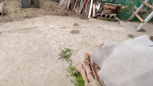 Будим жарить мы грибочки