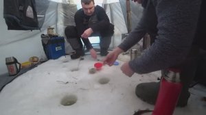 СЕЛИ ТАМ, ГДЕ НИКТО НЕ ЛОВИТ И НАЧАЛИ ТАСКАТЬ корюха!