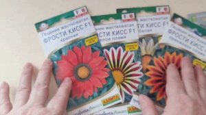 Весенний снежный заряд. 
А у меня цветочки.