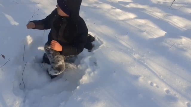 в лесу ЧАСТЬ 9 смотреть онлайн