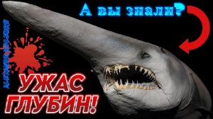 13 Жутких Существ, найденных на дне океана!