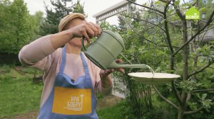 Как сделать поилку для птиц. Классная идея! Делаем поилку для садовых птиц своими руками