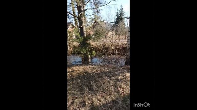 Дороги в деревне.