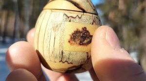 Шкатулка в мартовском лесу в дупле березы