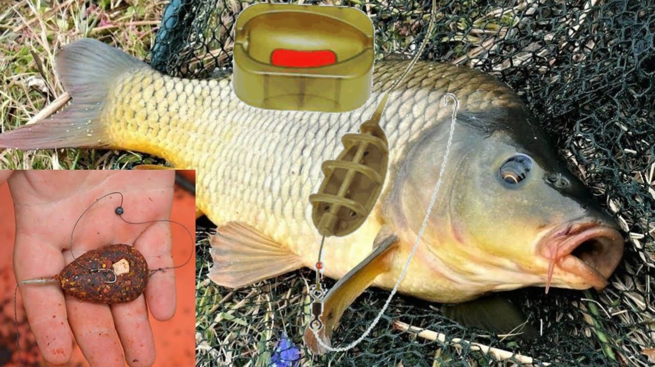 Очень Крутая Рыбалка в Восточной Сибири. Карпы — Гиганты. Мега Улов. Опасный Заезд на Мотоцикле 2026