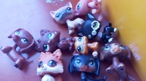 сборка вещей в Китай для lps?!