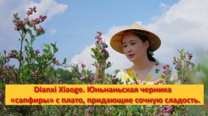 Dianxi Xiaoge. Китай. Юньнаньская черника — «сапфиры» с плато, придающие блюдам сочную сладость.