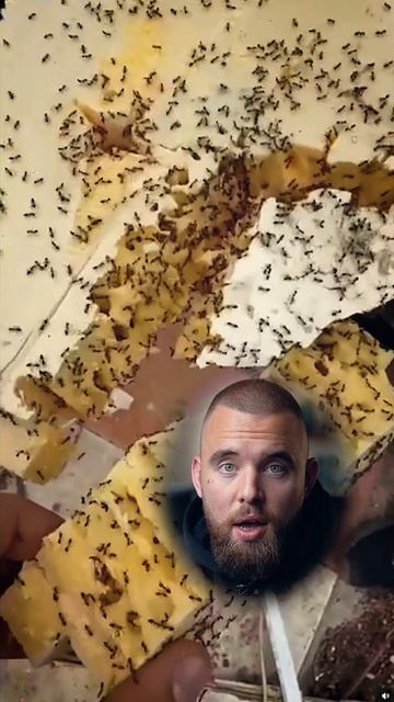 ЭТА ОШИБКА обречет МНОГО жизней