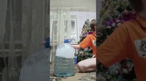 "Фильм", ОВПИИН.