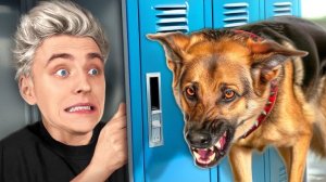 Влад а4 . Прятки от СОБАКИ в ШКОЛЕ ! Видео Влада