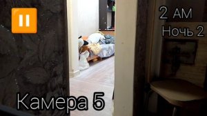5 Ночей с Динозавром 2 ночь