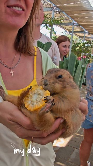 lv_7587384706631519493_20260320200506