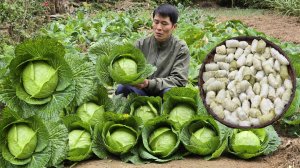 Готовлю голубцы. Иду на рынок продавать. Жизнь и быт во Вьетнаме